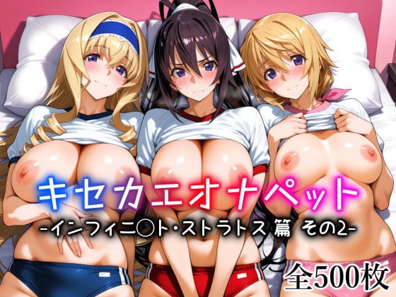 【全編マンガ】d_761699 | キセカエオナペット -インフィニ◯ト・ストラトス篇 その2- | 愛玩ファクトリー(フェラ)